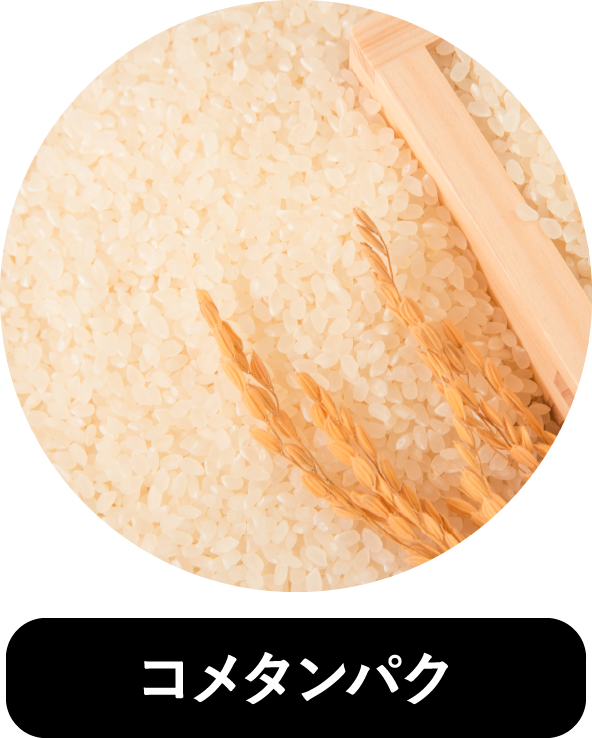 コメタンパク